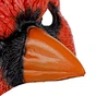 red bird