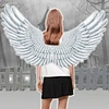 feather wings
