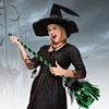 broomstick handles