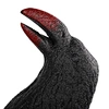 raven headband