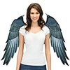 raven wings