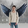 halloween angel wings