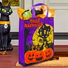 the hauted house ，halloween accessories