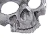 white skull 