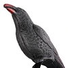 raven headband