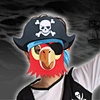 pirate facemask