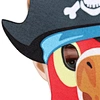 pirate facemask