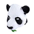cute panda