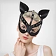 cat facemask