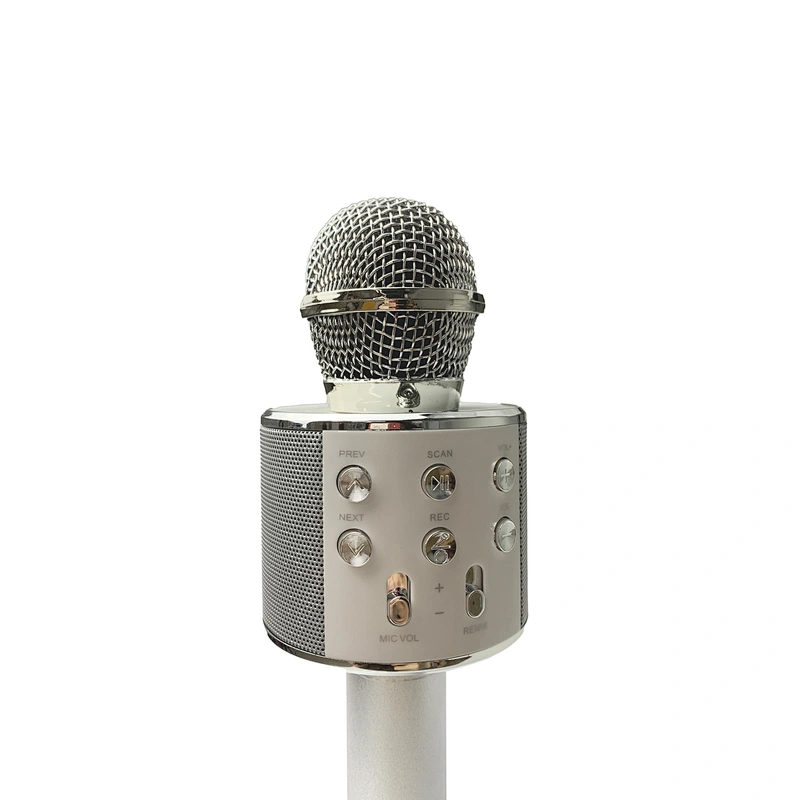 Wireless Microphone Speaker