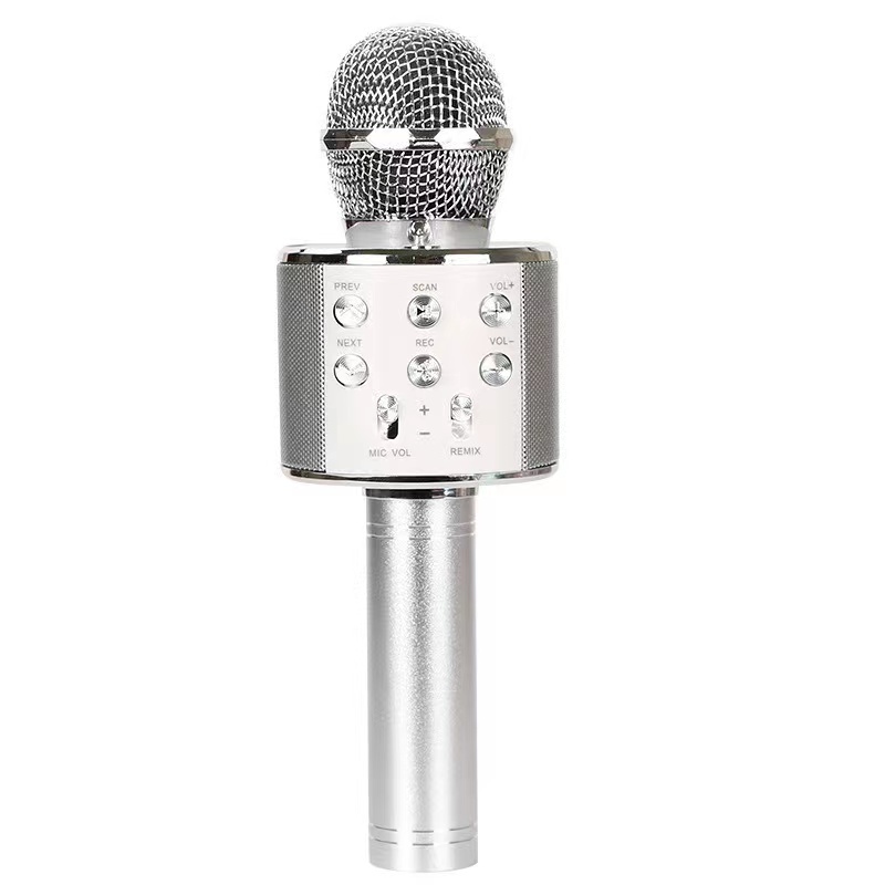 Wireless Microphone Speaker