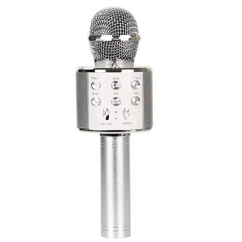 Wireless Microphone Speaker