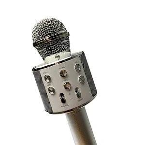 Wireless Microphone Speaker