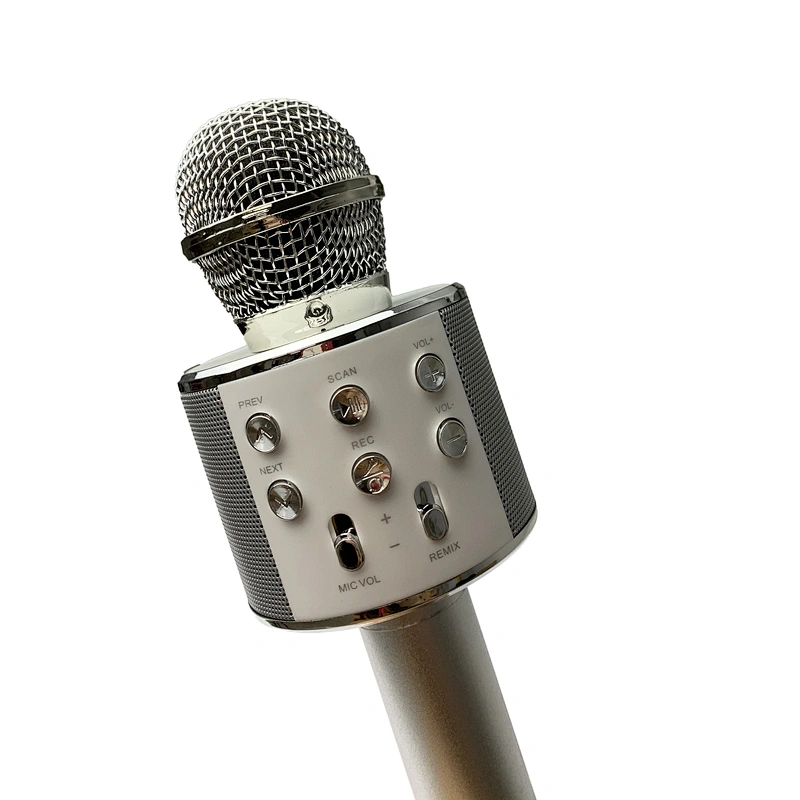 Wireless Microphone Speaker
