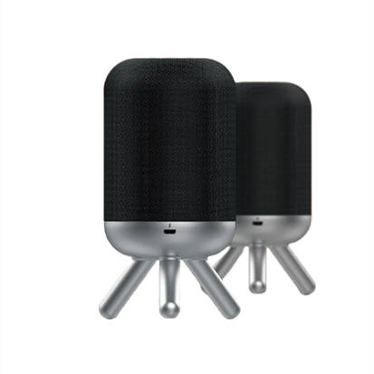 TWS Bluetooth Speaker