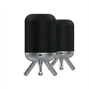 TWS Bluetooth Speaker