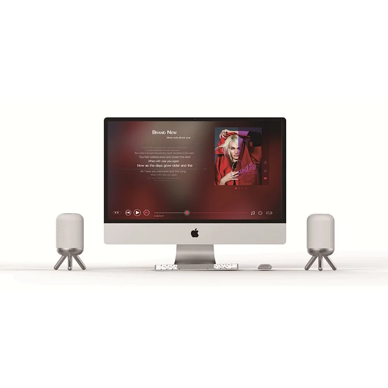 TWS Bluetooth Speaker