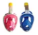 Full Face Snorkle Mask