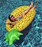 inflatable pineapple