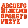 DIY Chenille alphabets