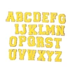DIY Chenille alphabets