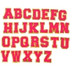 DIY Chenille alphabets