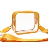 clear Crossbody Bag