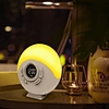 2022 Hot Sales Digital Table Led Wake-Up Light Alarm Clock