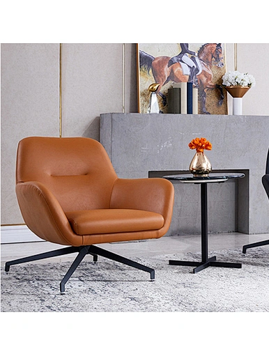 Home furniture leisure chair