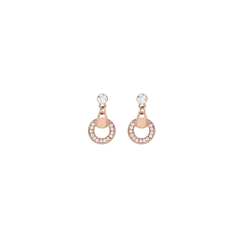 Korean Newest Fashion Earrings Hoop CZ Luxury Jewelry Custom Earring Women
