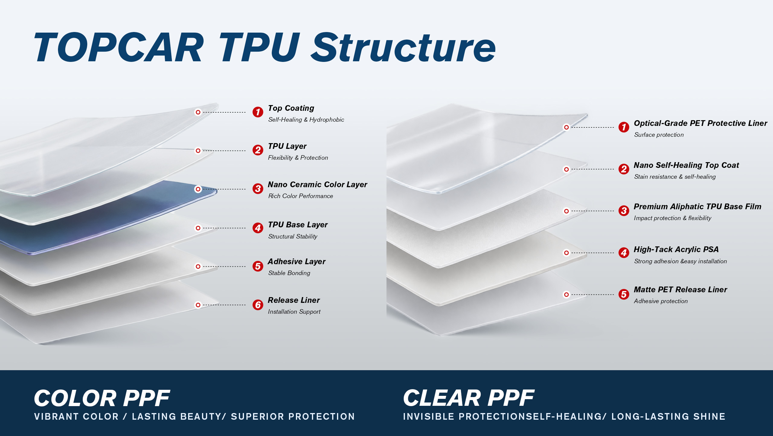 Paint protection film protecting car paint from road debris
