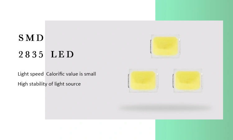 2835 SMD LED Chip