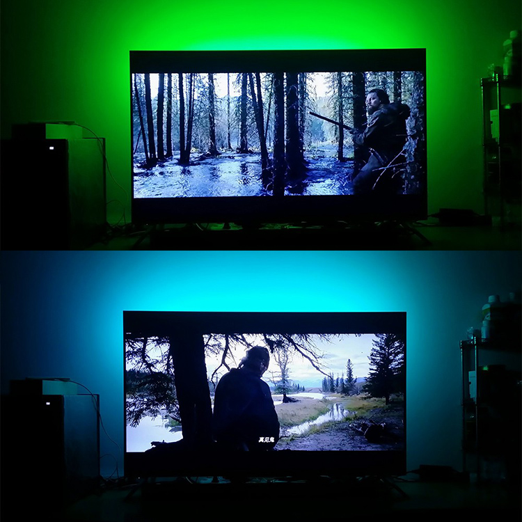 oval LED