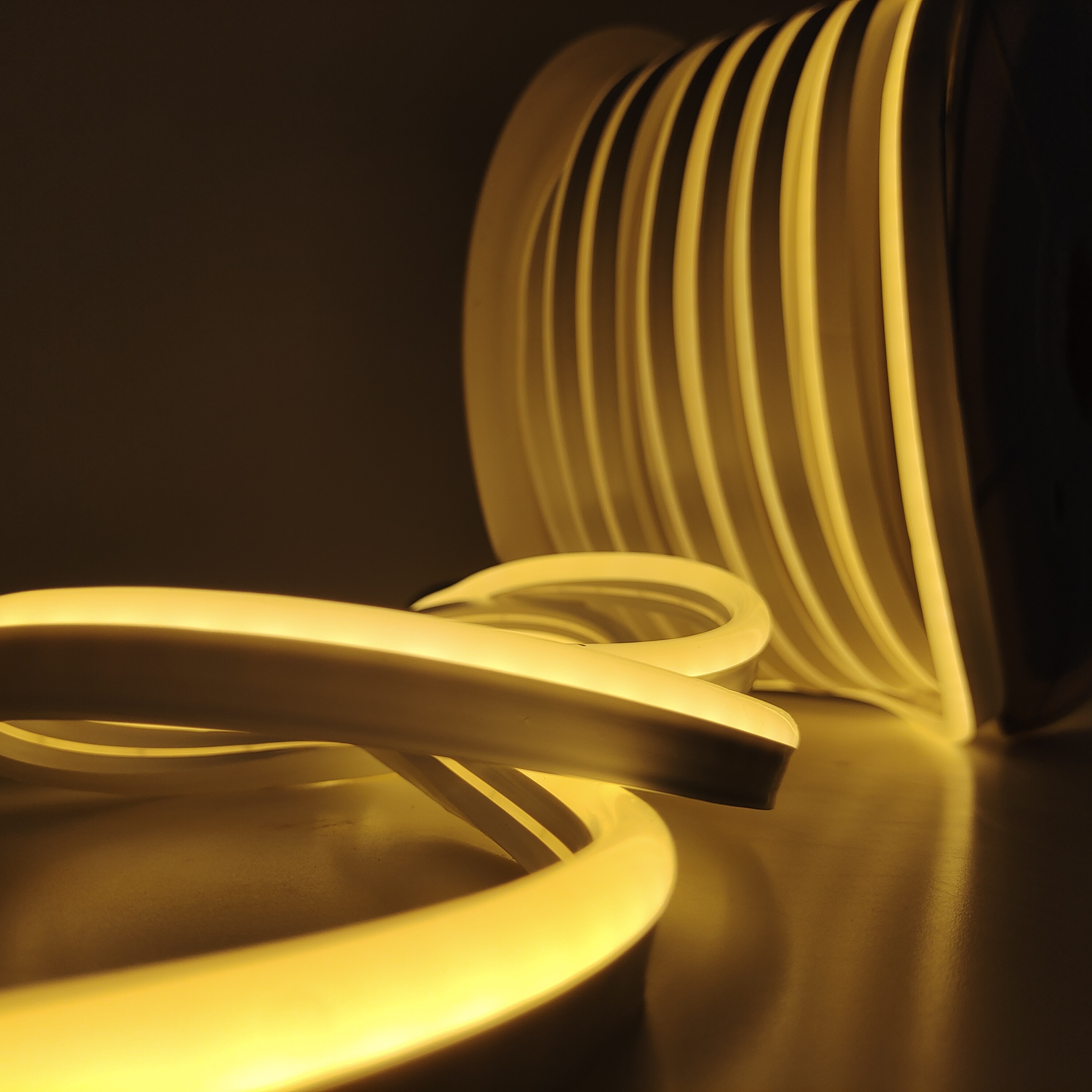 2835 12V led strip lights neon