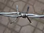 roll barbed wire 500m price