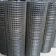 pvc welded wire mesh