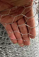 chicken wire mesh