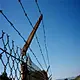 galvanized barbed wire