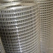 1/4 inch galvanized welded wire mesh