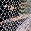 heavy guage chain link fencing