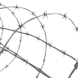 Barb Wire Fence Sale