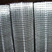 1/4 inch galvanized welded wire mesh