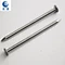 Common Iron Nail For Building Construction