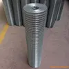 1/4 inch galvanized welded wire mesh