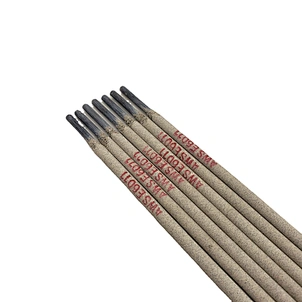 AWS E6013 J421