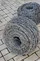 galvanized barbed wire