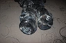 iron wire 2mm