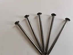 common nail