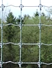 Galvanized Steel Farm Fence
