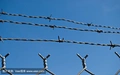 galvanized barbed wire